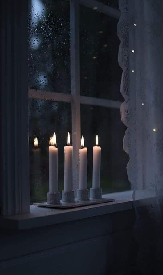   ~~ bntpal.com_154097119