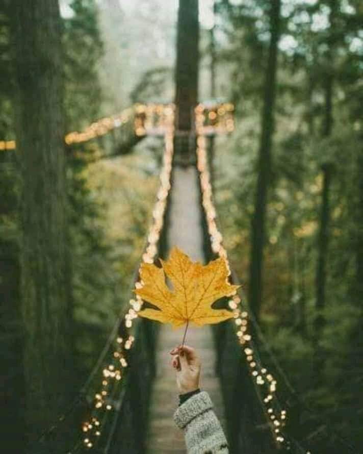   ~~ bntpal.com_154097279