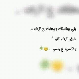 ... ~~ bntpal.com_154108097