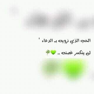 ... ~~ bntpal.com_154108097