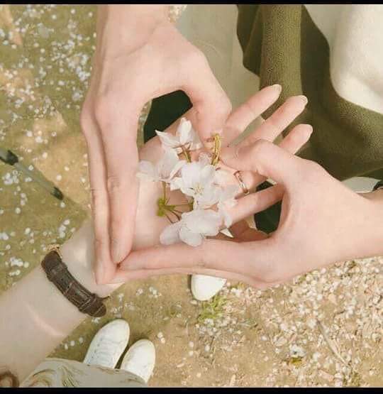  💙~~ bntpal.com_154123602