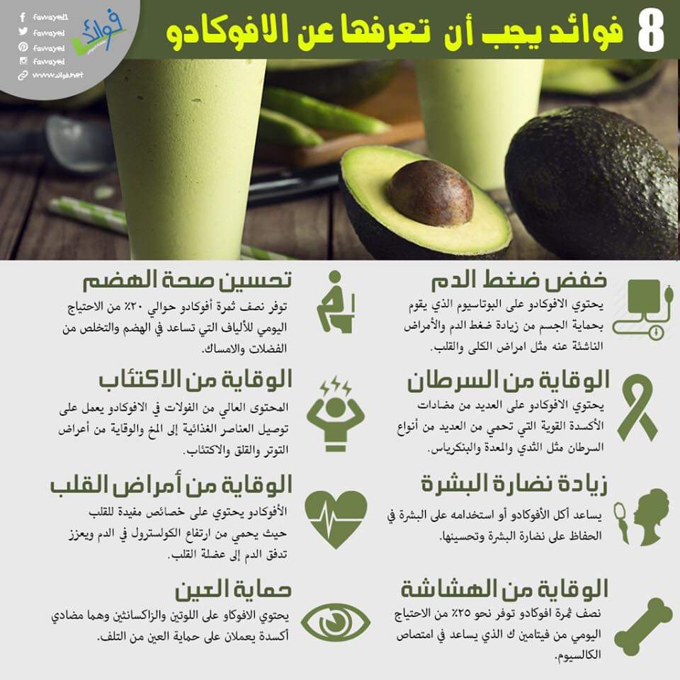  bntpal.com_154153875