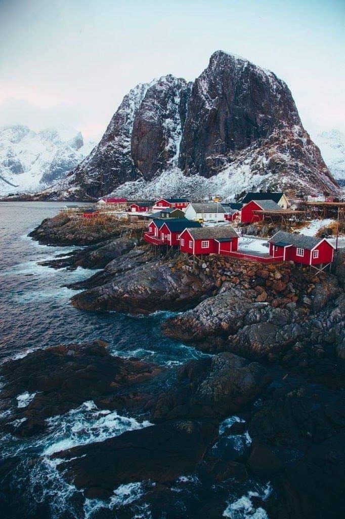 🌏💛 bntpal.com_154188309