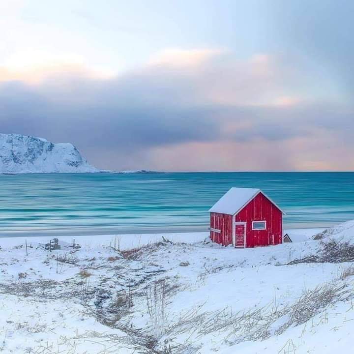 🌏💛 bntpal.com_154188309