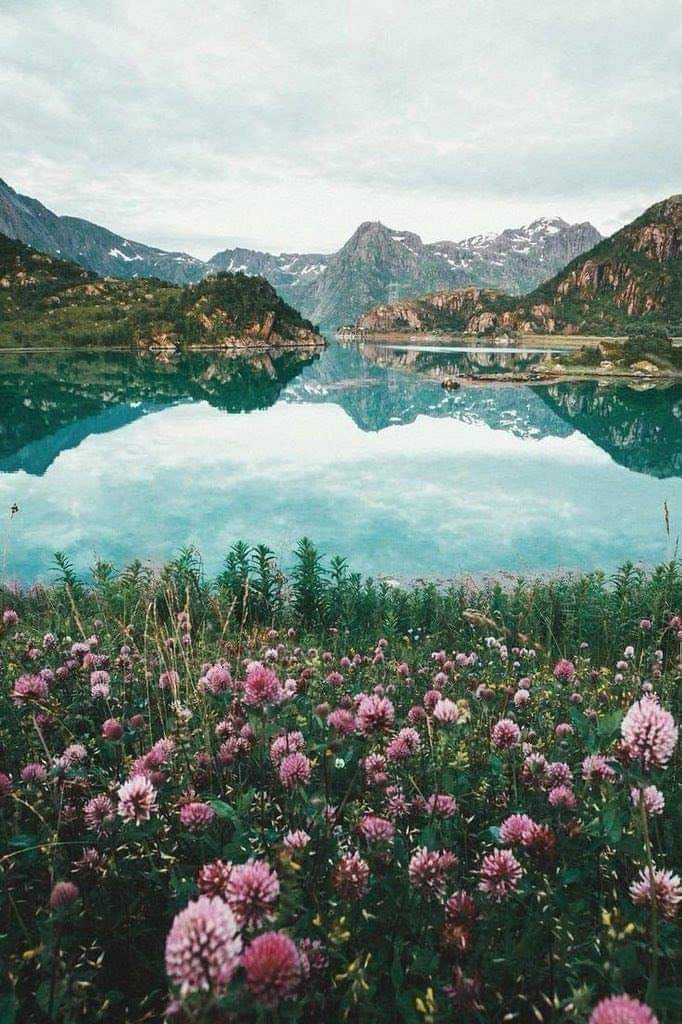 🌏💛 bntpal.com_154188309