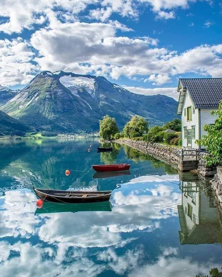 🌏💛 bntpal.com_154188309