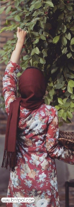 🤗🥀 bntpal.com_154214206