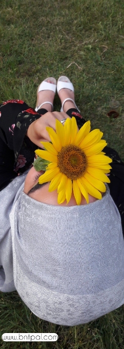 🤗🥀 bntpal.com_154214206