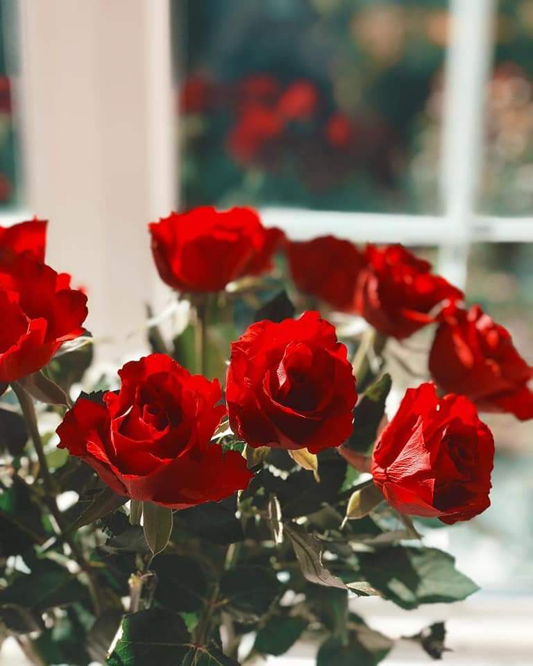 💜🥀 bntpal.com_154217676