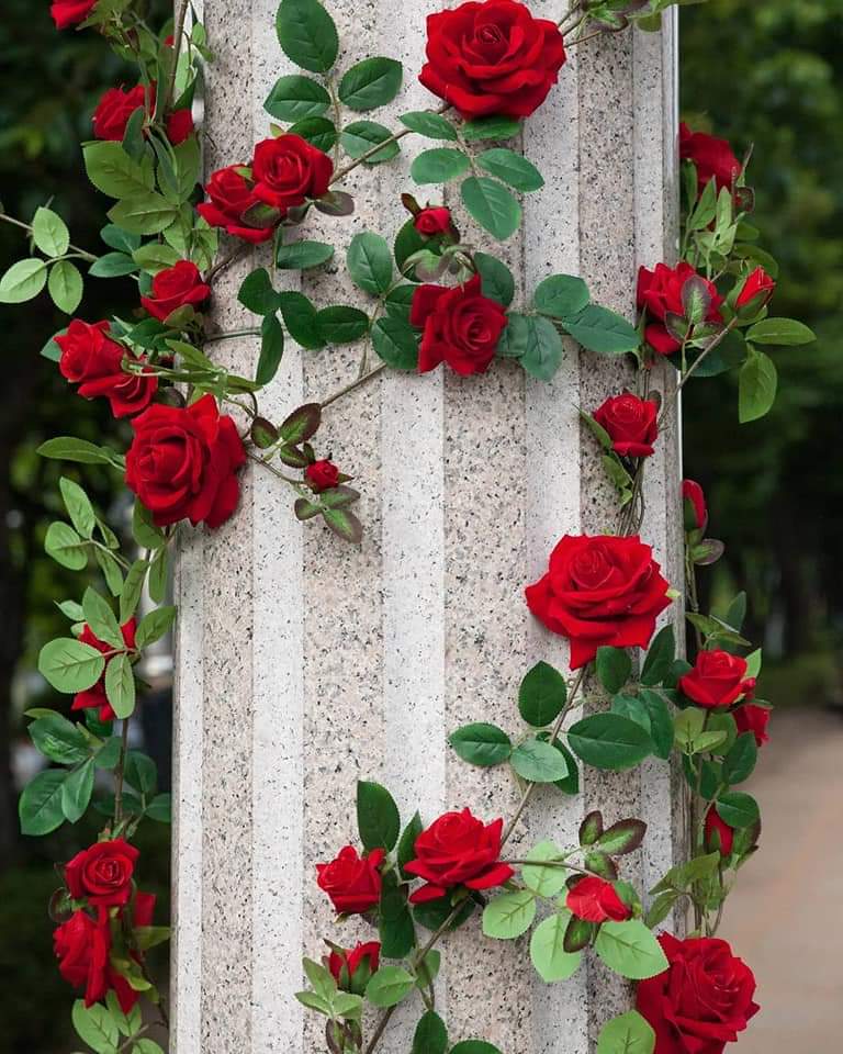 💜🥀 bntpal.com_154217676