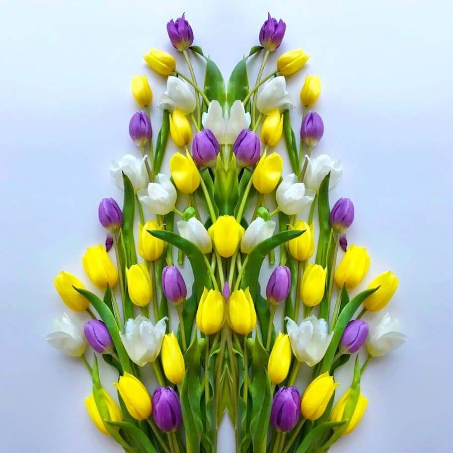 💜🥀 bntpal.com_154217676