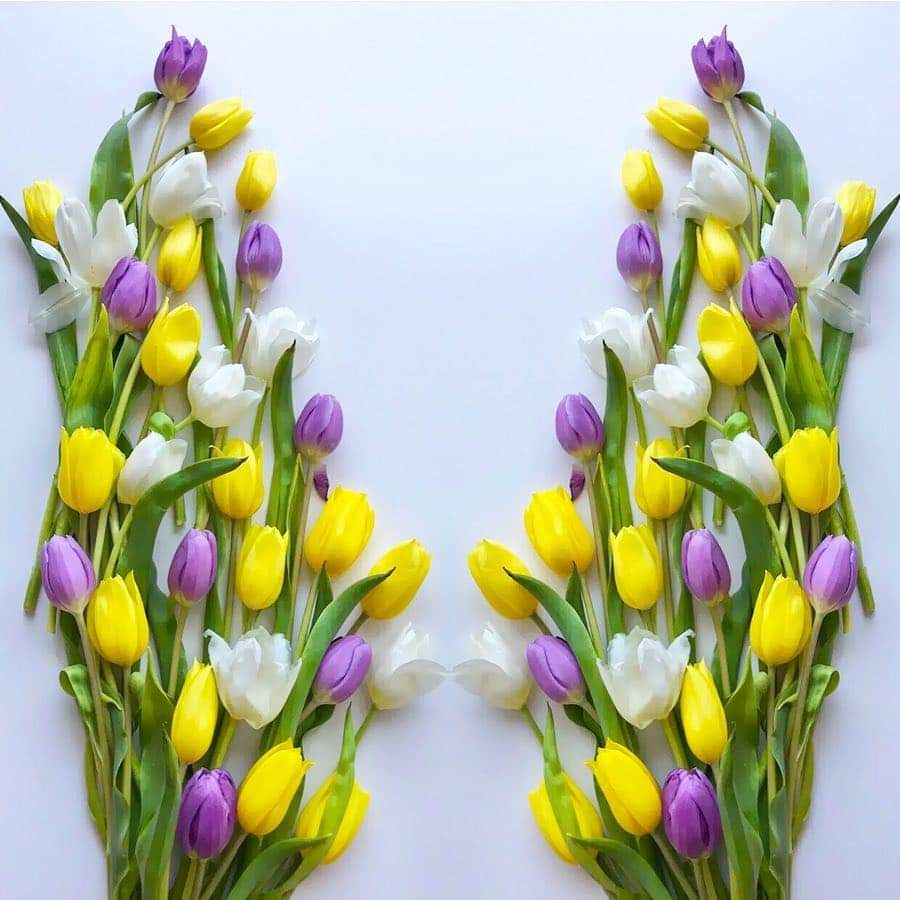 💜🥀 bntpal.com_154217676