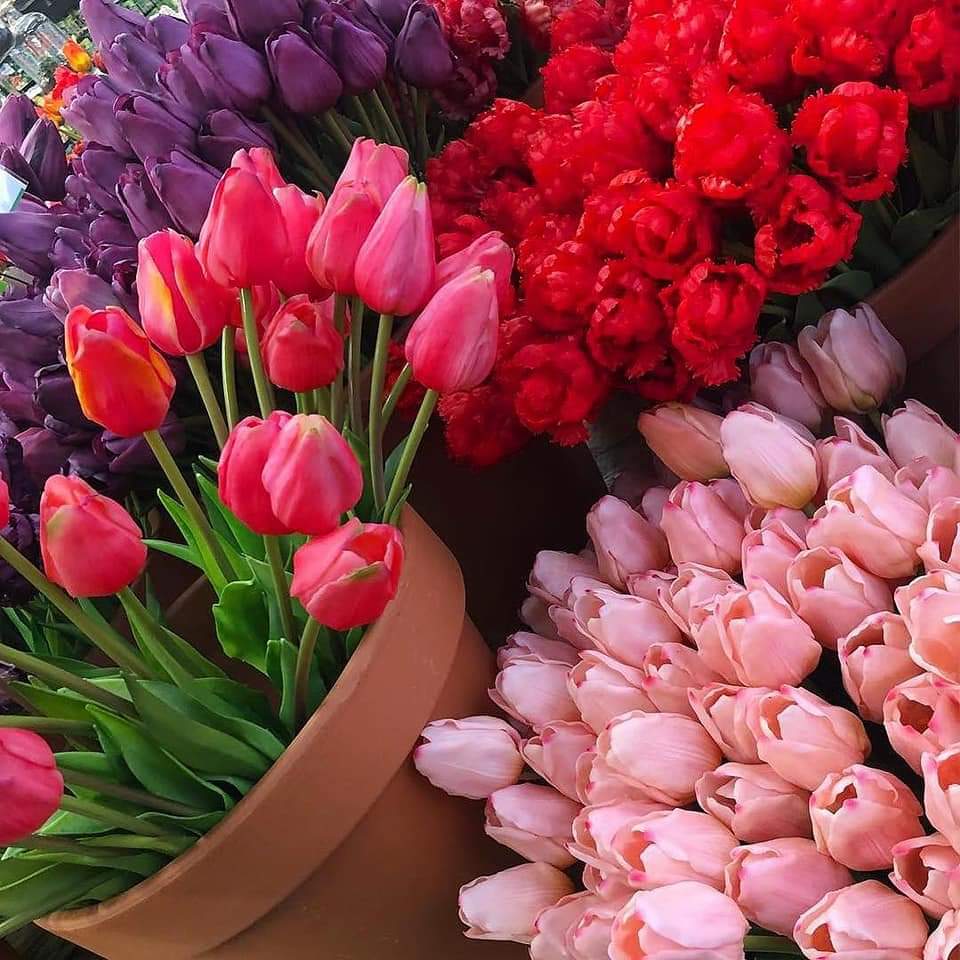 💜🥀 bntpal.com_154217676