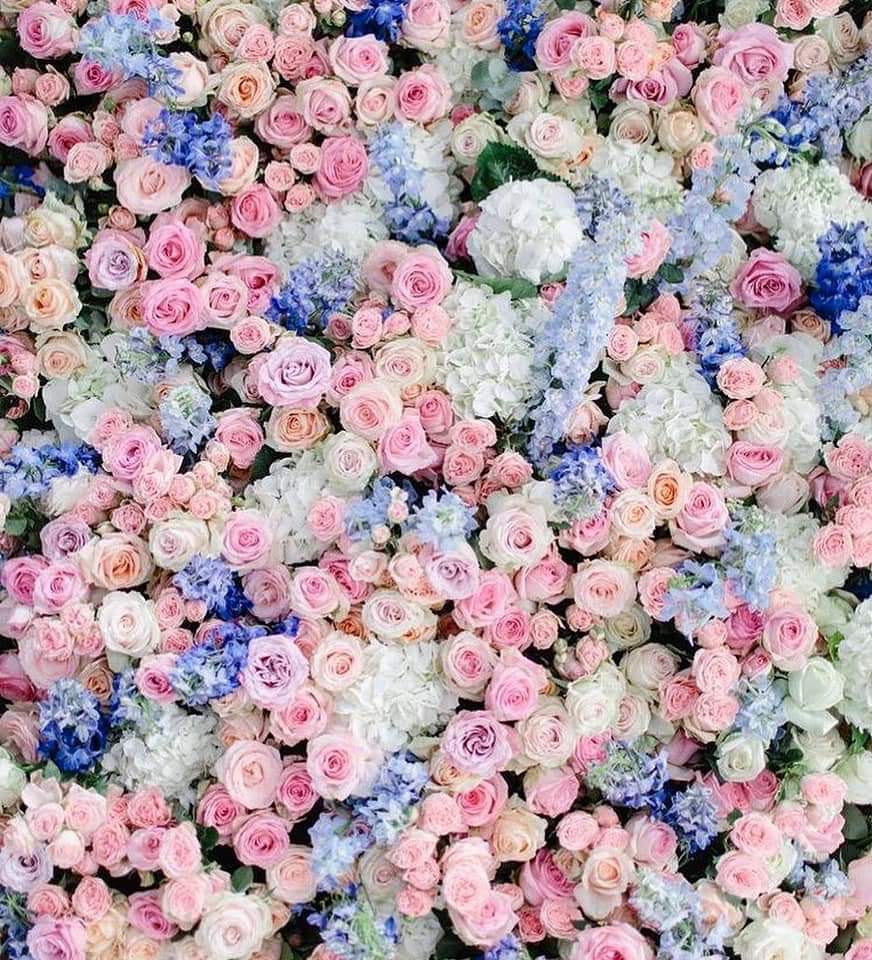 💜🥀 bntpal.com_154217676