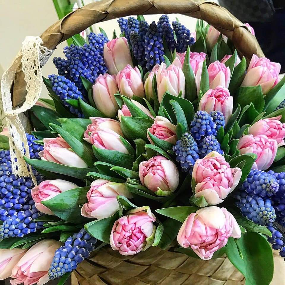 💜🥀 bntpal.com_154217676