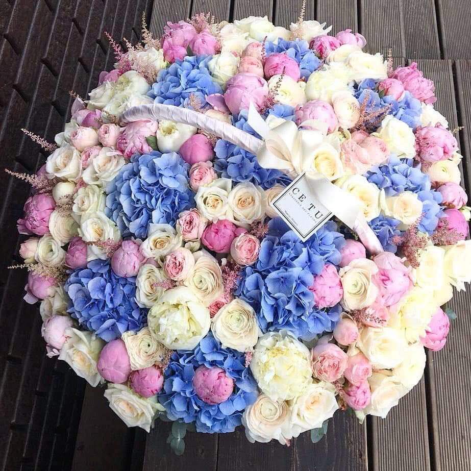 💜🥀 bntpal.com_154217676
