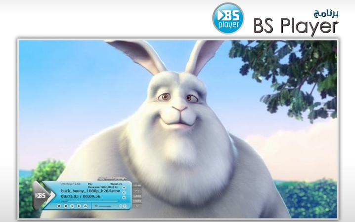   bntpal.com_154238667