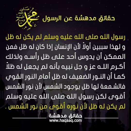 bntpal.com_154278406