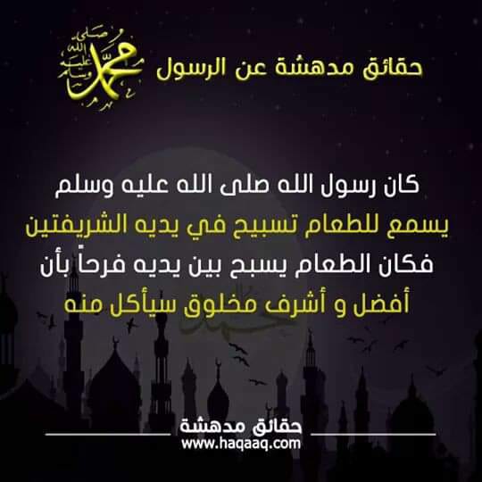 bntpal.com_154278421