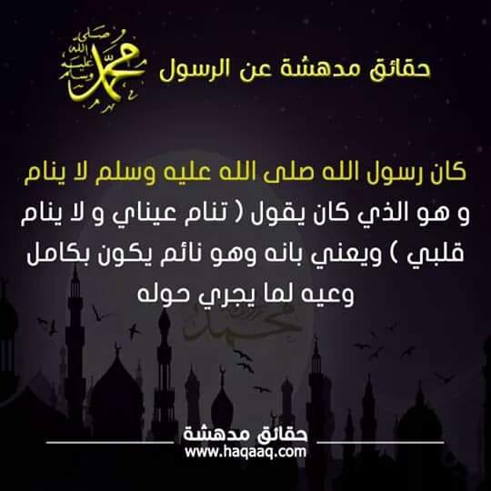 bntpal.com_154278437