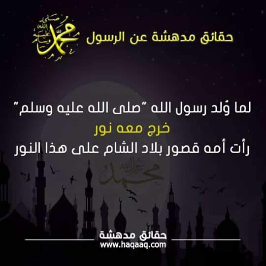 bntpal.com_154278450
