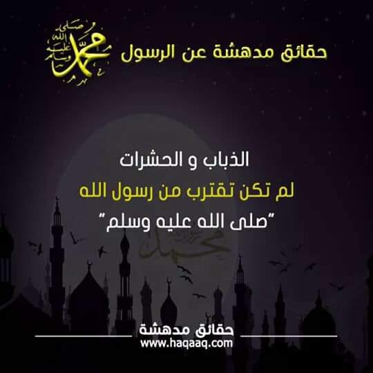 bntpal.com_154278467