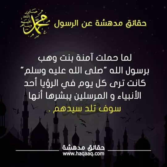 bntpal.com_154278503