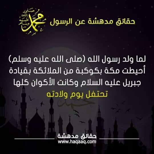 bntpal.com_154278518