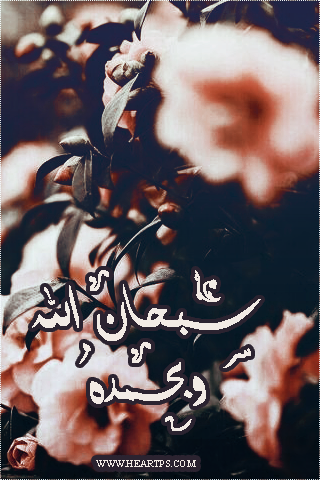 ���� ���� ������ �� ���� ������