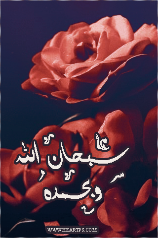 ���� ���� ������ �� ���� ������