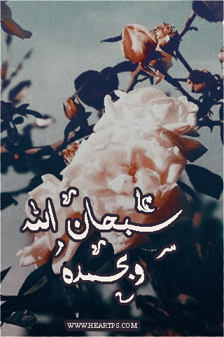 ���� ���� ������ �� ���� ������