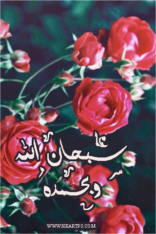 ���� ���� ������ �� ���� ������