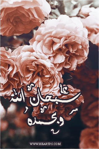 ���� ���� ������ �� ���� ������