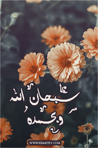 ���� ���� ������ �� ���� ������