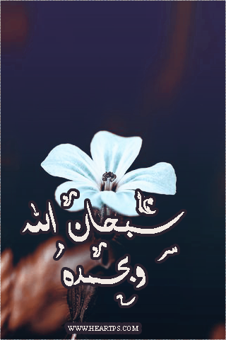 ���� ���� ������ �� ���� ������