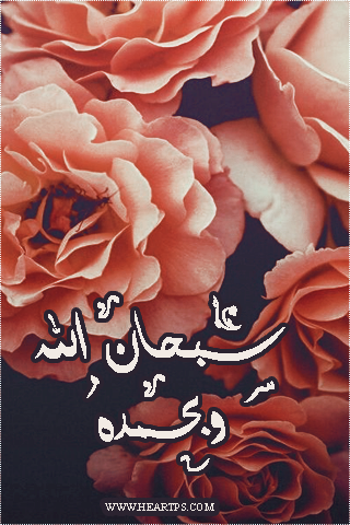 ���� ���� ������ �� ���� ������