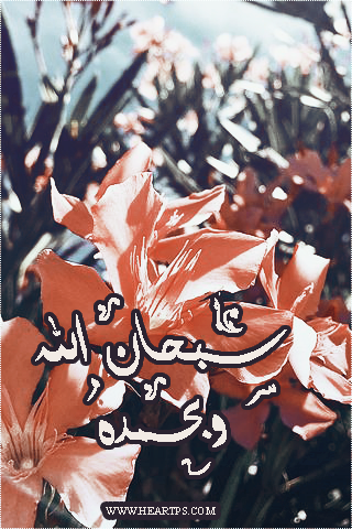 ���� ���� ������ �� ���� ������