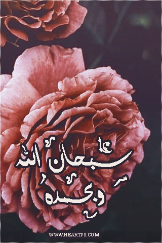 ���� ���� ������ �� ���� ������