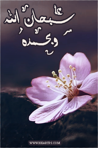 ���� ���� ������ �� ���� ������