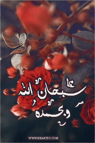 ���� ���� ������ �� ���� ������