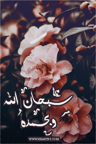 ���� ���� ������ �� ���� ������