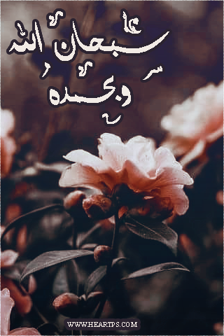 ���� ���� ������ �� ���� ������