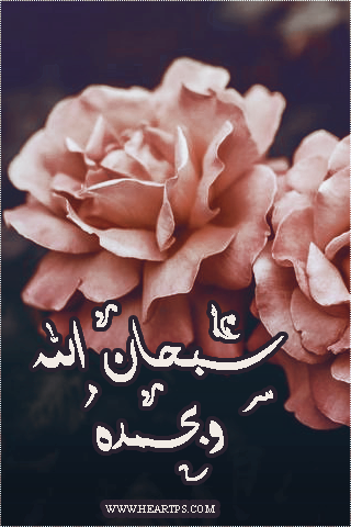 ���� ���� ������ �� ���� ������