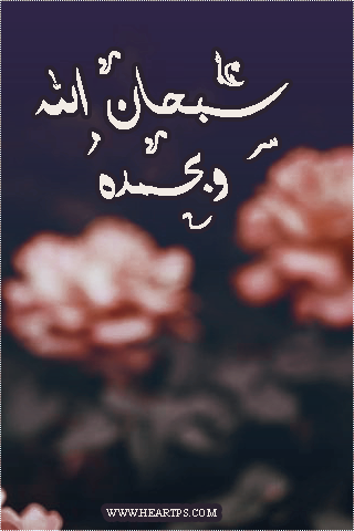 ���� ���� ������ �� ���� ������