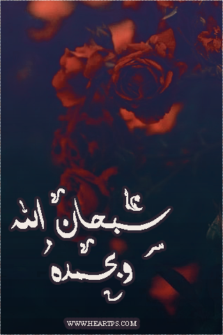 ���� ���� ������ �� ���� ������