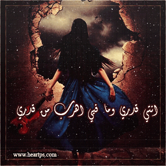 ���� ���� ������ �� ���� ������