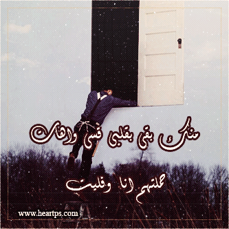 ���� ���� ������ �� ���� ������