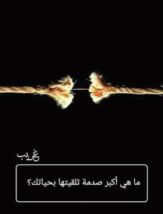 bntpal.com_154316905