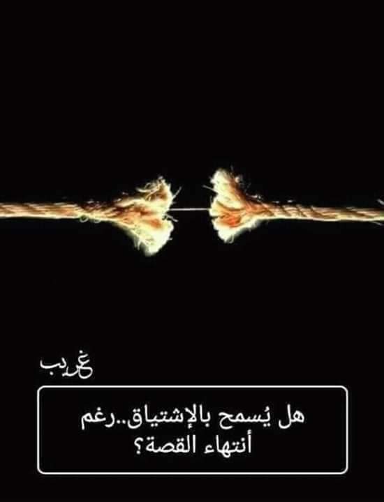 bntpal.com_154316905