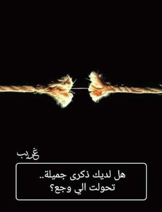 bntpal.com_154316905